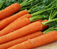 ¿Cuántas calorías tiene una zanahoria?