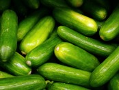 ¿Cuántas calorías tiene el pepino?